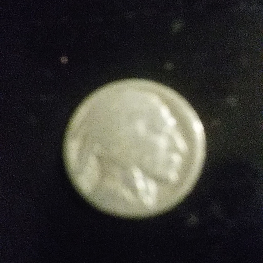 NO MINT MARK. BUFFALO NICKEL